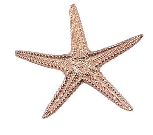Sea Star Large